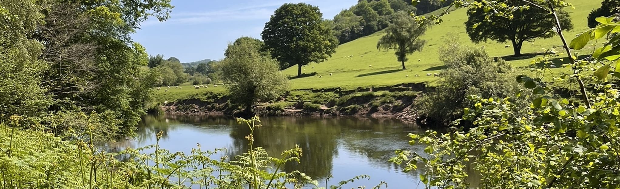 Kerne Bridge, River Wye, and Coppett Hill Circular 257 Fotos