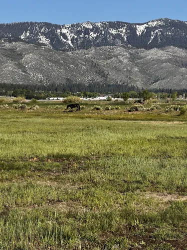 2023 Best Historic Site Trails in Washoe Valley | AllTrails