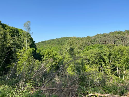 Bergbauwanderweg