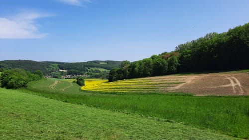 Tiefental: Um den Bärenkopf