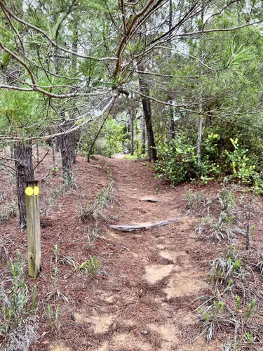 Best Hikes and Trails in High Ridge Scrub | AllTrails