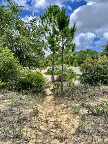 Best Hikes and Trails in High Ridge Scrub | AllTrails