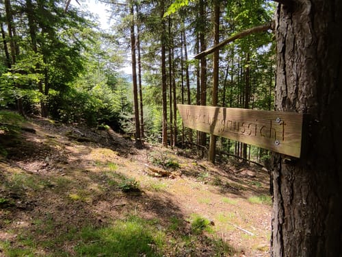 Vom Fluss Schlitz zum Basaltfelsen