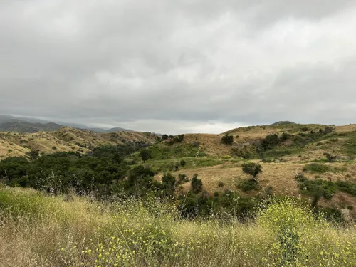 Best Hikes and Trails in Limestone Canyon Regional Park | AllTrails