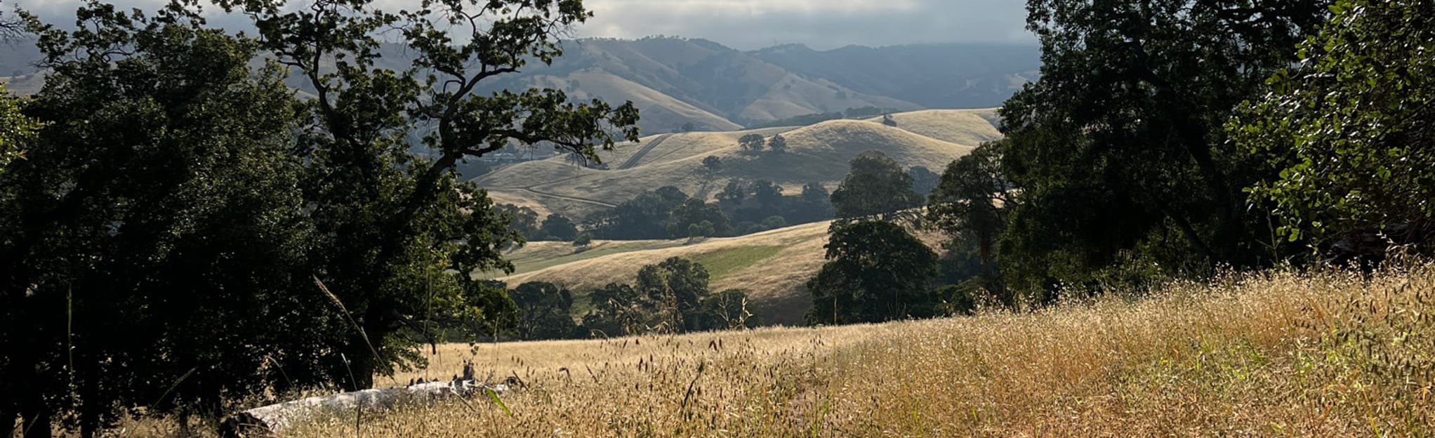 Mitchell Rock, Eagle Peak, Mount Diablo, and North Peak Loop 10 251