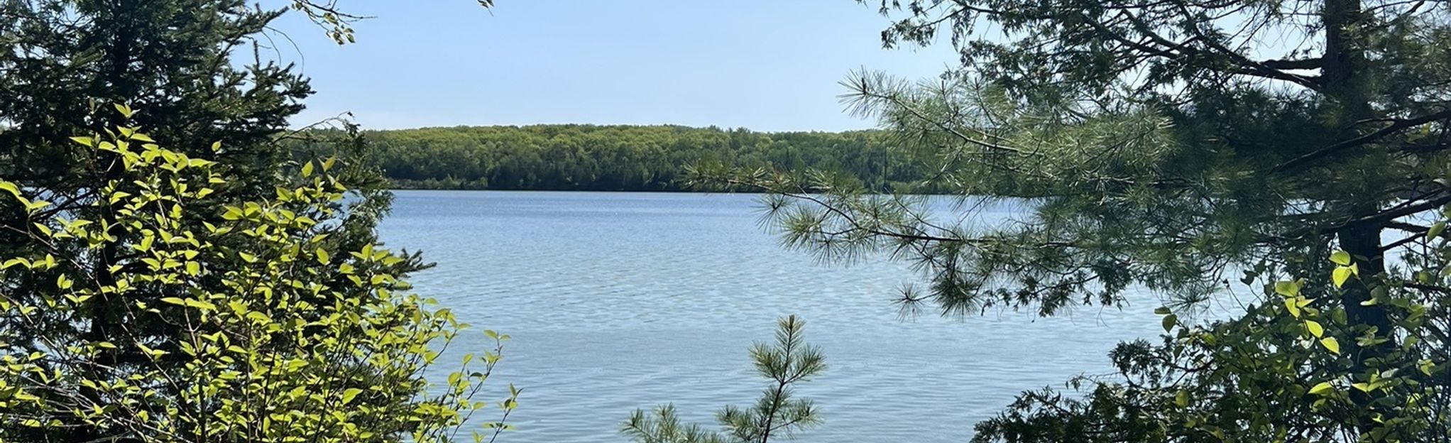 Fumee Lake Loop: 133 Reviews, Map - Michigan | AllTrails