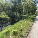 Cotton Valley Rail-Trail, New Hampshire - 592 Reviews, Map | AllTrails