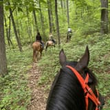 Leatherwood Creek Trail, Kentucky - 61 Reviews, Map | AllTrails