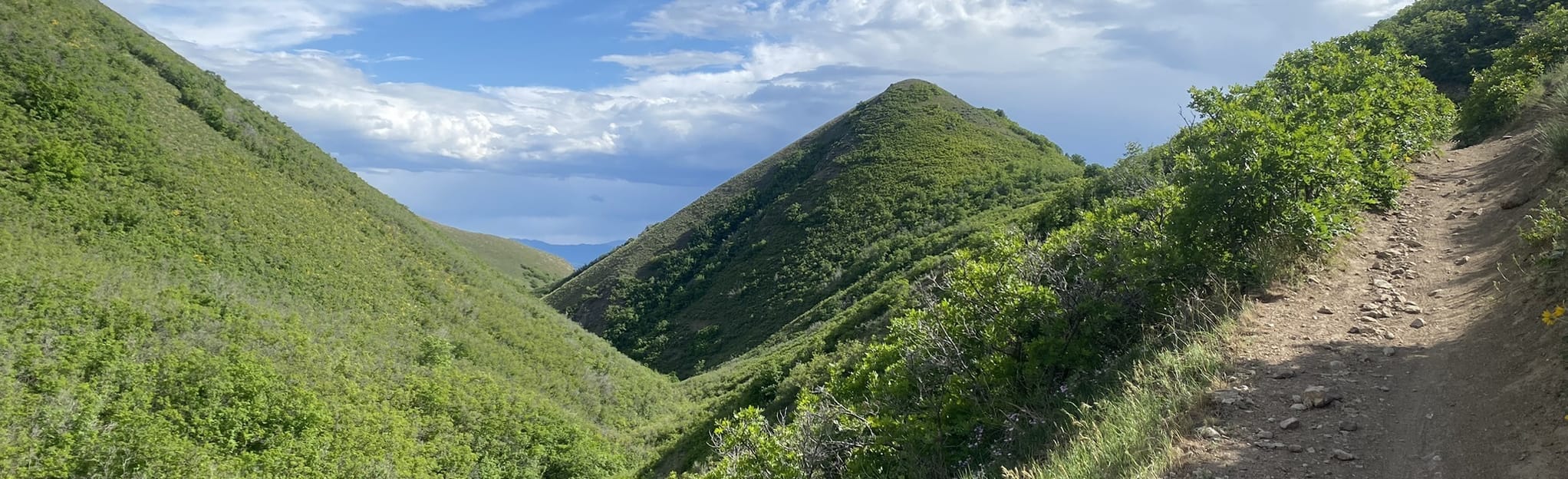 Limekiln to Dry Creek Loop, Utah 179 Reviews, Map AllTrails