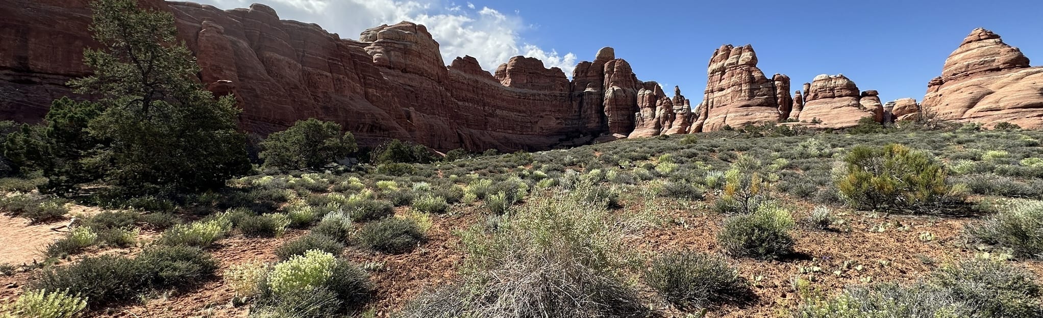 Salt Flat, Big Springs, and Squaw Canyon Loop, Utah 58 Reviews, Map AllTrails