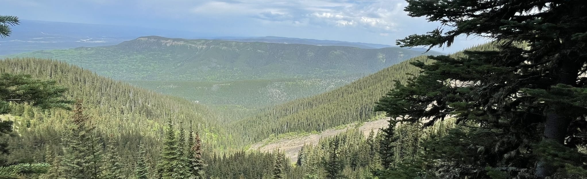 Folding Mountain 561 Reviews, Map Alberta, Canada AllTrails