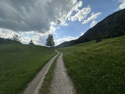 MTB Tour: Esterbergalm - Gschwandtnerbauer