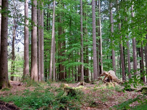 Jexhof und Wildmoos