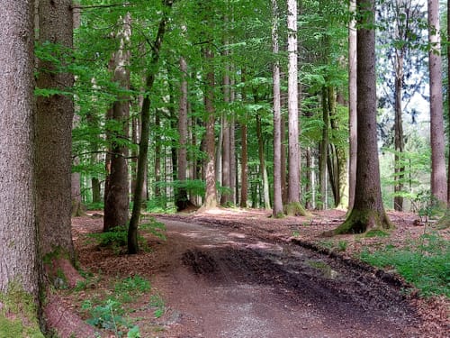 Jexhof und Wildmoos