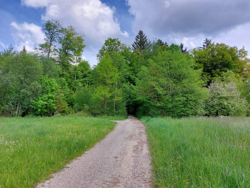 Jexhof und Wildmoos