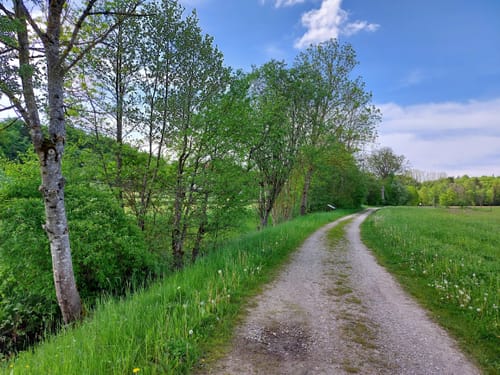 Jexhof und Wildmoos