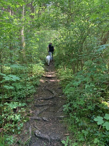 Wertach-Wanderung: Bärensee und Bachtelsee