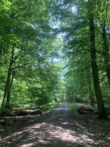 Darmstadter Wildpark-Weg