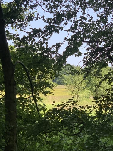Darmstadter Wildpark-Weg