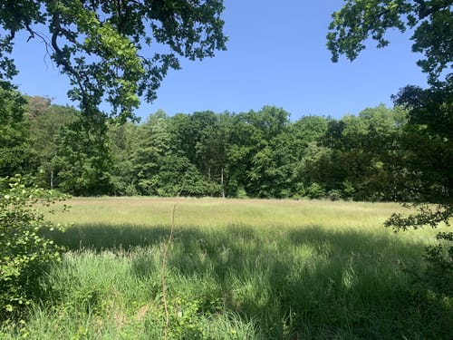Darmstadter Wildpark-Weg