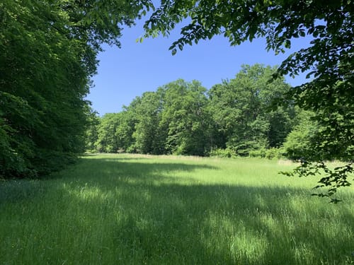 Darmstadter Wildpark-Weg
