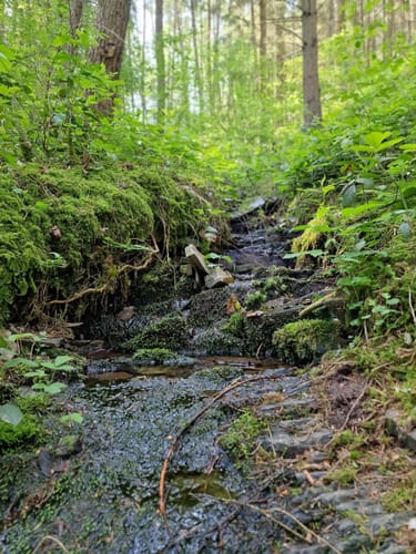 Devonpfad (Premiumwanderweg)