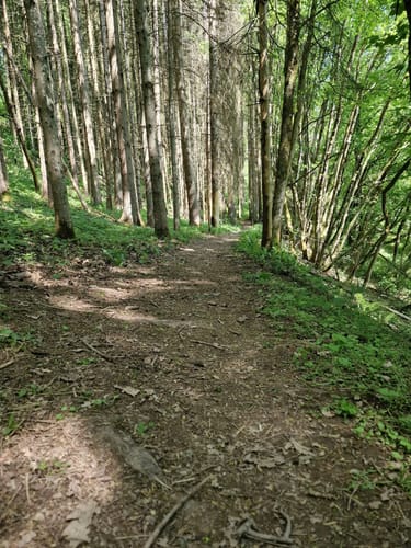 Devonpfad (Premiumwanderweg)