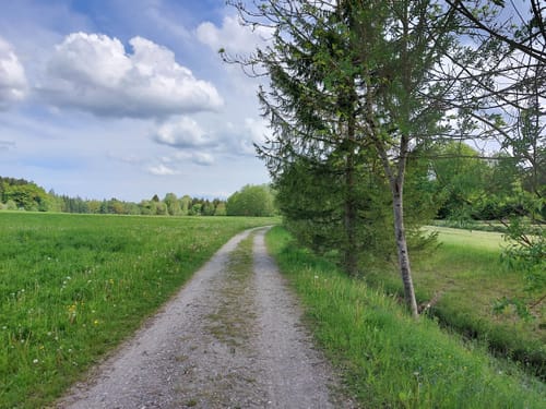 Jexhof und Wildmoos