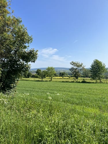 Nieheim: Wanderweg Klunsberg
