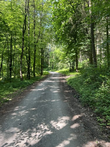 Nieheim: Wanderweg Klunsberg