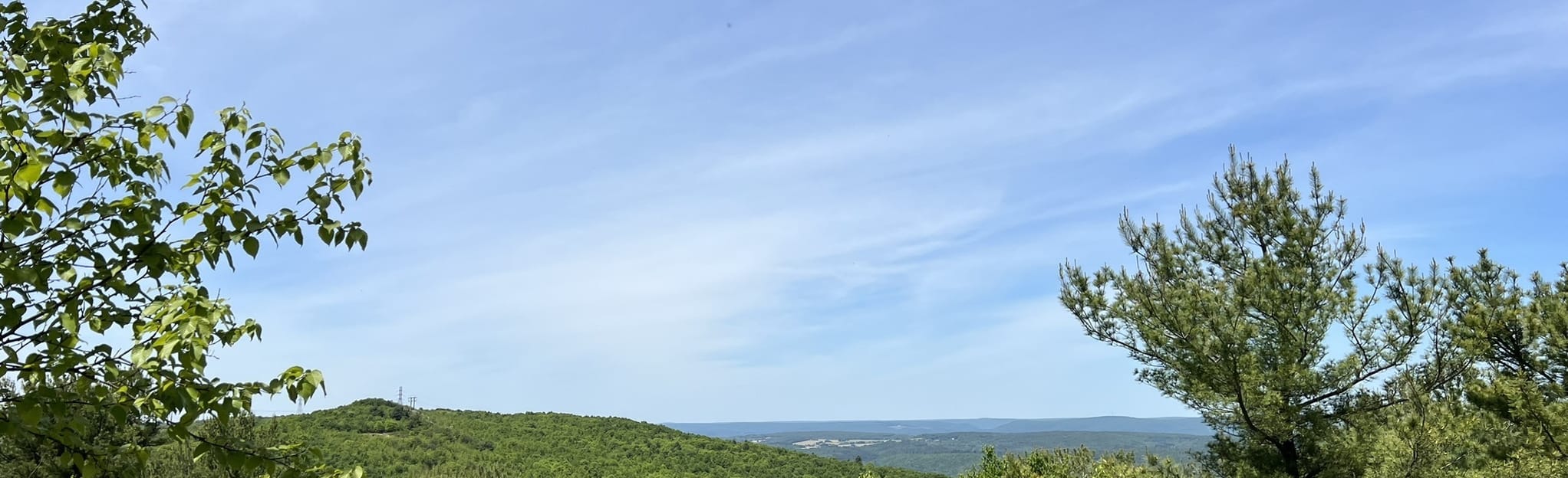 Appalachian Trail Smith Gap to Little Gap, Pennsylvania 112 Reviews