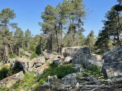 Tour in the Forest of Fontainebleau, Seine-et-Marne, France - 17