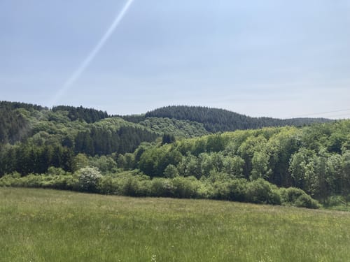 HeimatSpur Wallenborner-Weg