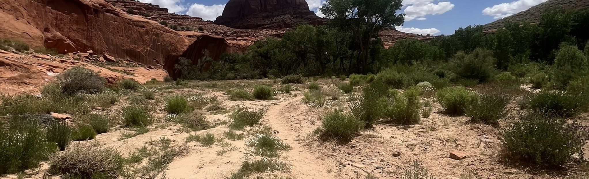 The Golden Cathedral Trail, Utah - 535 Reviews, Map | AllTrails