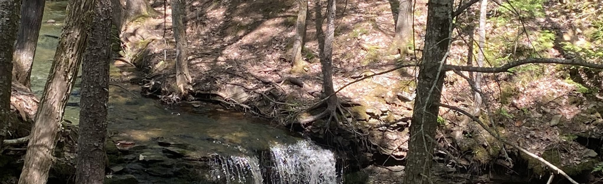 Scribner Falls 10 Reviews, Map New Brunswick, Canada AllTrails