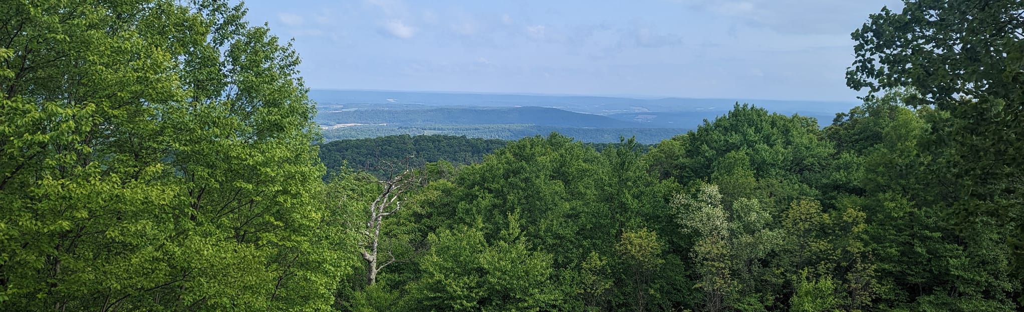 Appalachian Trail Blue Mountain Ridge to Port Clinton 705 foto's