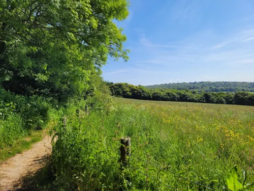 10 Best Short Trails in Kent Downs National Landscape (AONB) | AllTrails
