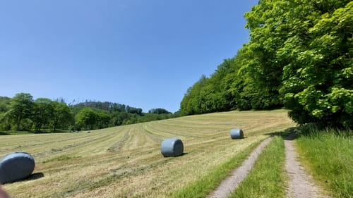 Eichhof nach Hommerich über Reudenbach