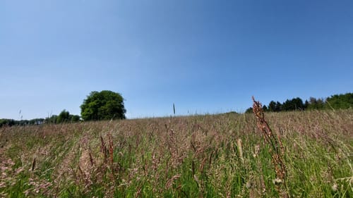 Eichhof nach Hommerich über Reudenbach