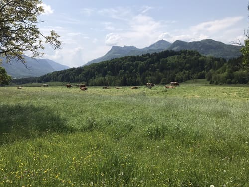 Von Umrathshausen um den Bärnsee