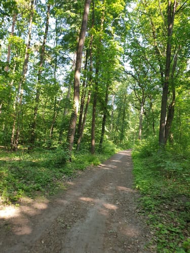 Wanderung Heidesee-Bennstedt