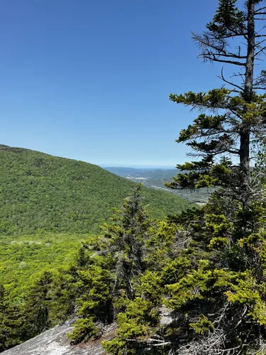 2023 Best Wild Flowers Trails in Jonesville AllTrails