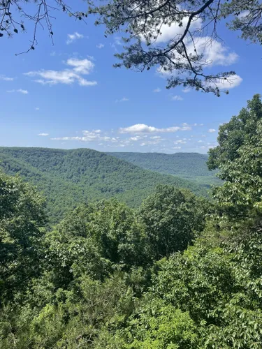 Best Wildlife Trails in South Cumberland State Park | AllTrails