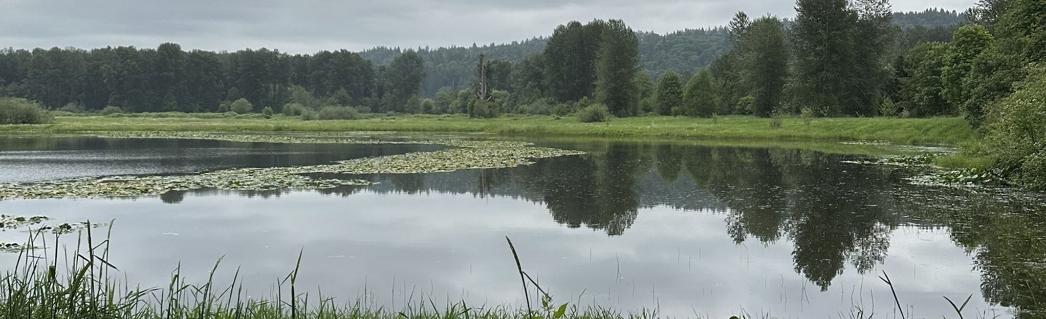 Snohomish River and Shadow Lake Trail, Washington 128 Reviews, Map