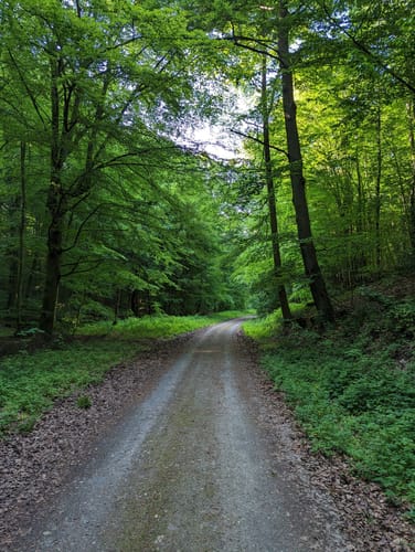 Rund um die Wewelsburg
