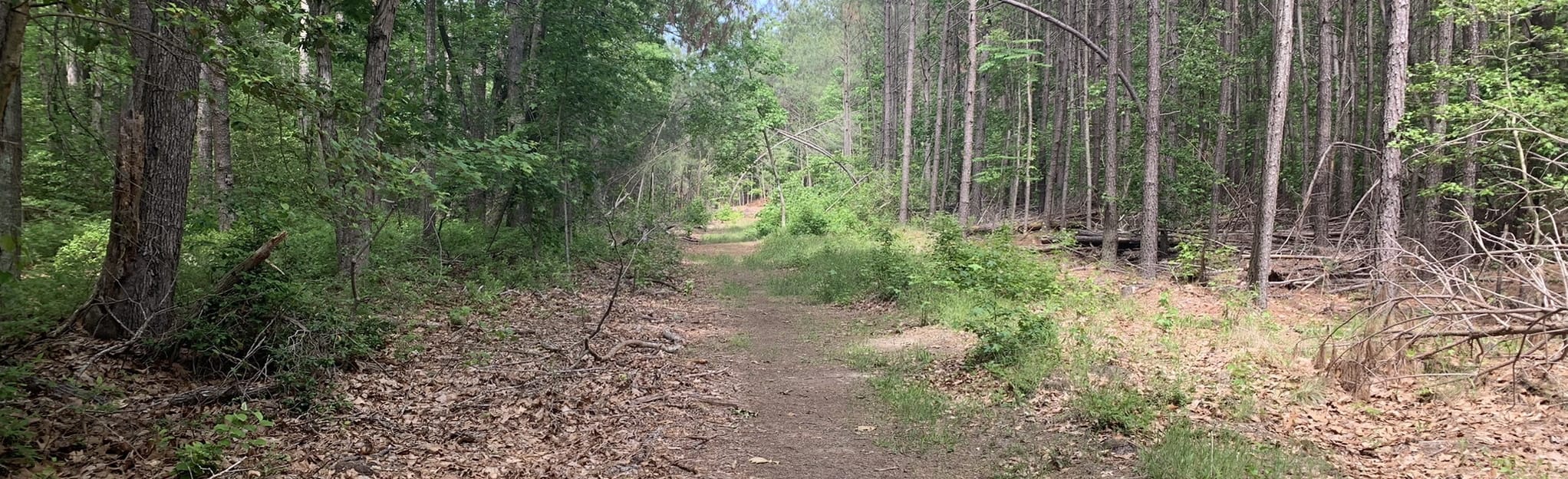 Pemberton Loop, Delaware 5 Reviews, Map AllTrails