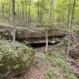 Archers Fork Trail, Ohio - 574 Reviews, Map 