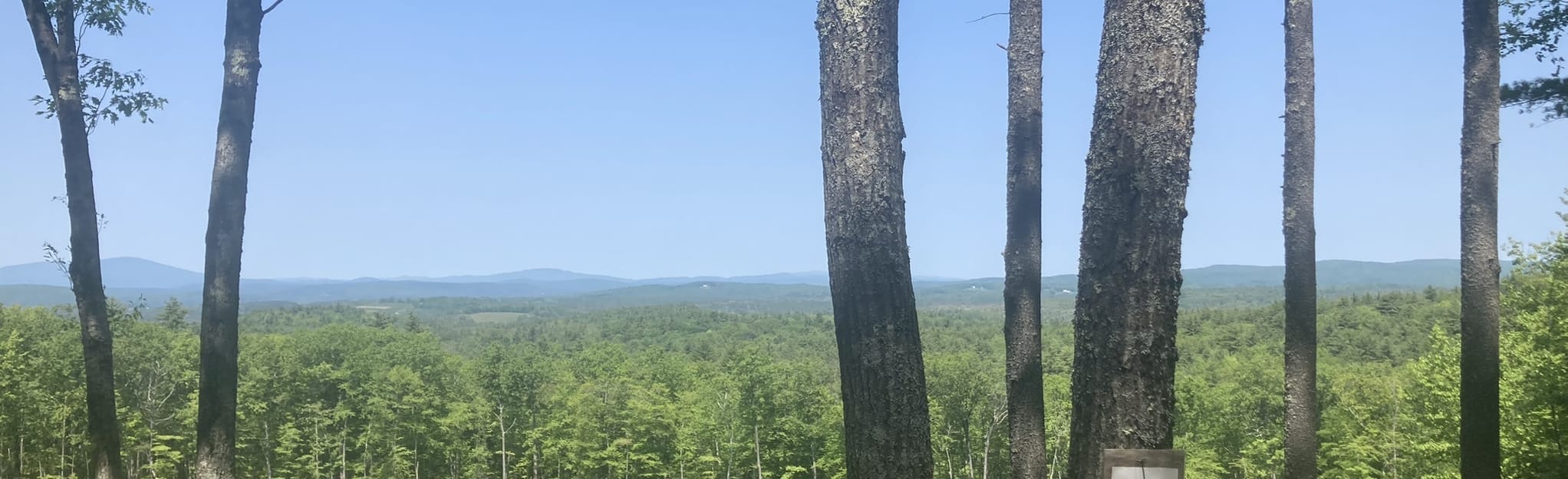 Knowlton, Dancing Bear, Tower, and Bowl Trail Loop, New Hampshire - 66 ...