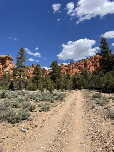 Tommy Creek Loop 1, Utah : Off-Road Map, Guide, and Tips