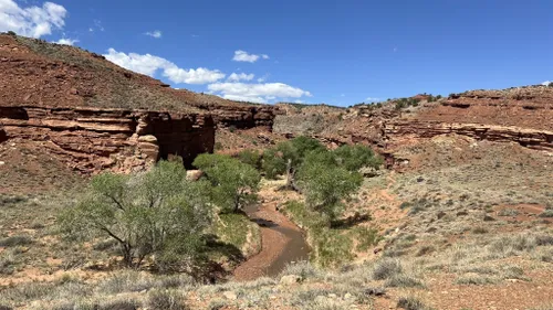 Capitol Reef National Park: Chimney Rock Canyon to Pleasant Creek